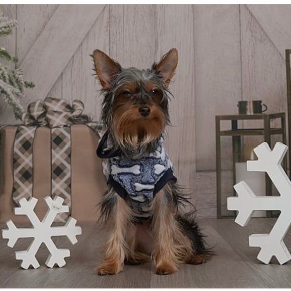 Meet your Posher, Trin - Picture 4 of 6